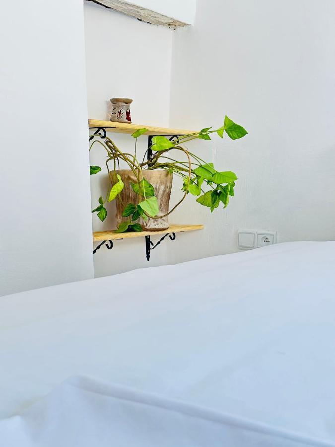 Ocean Home Essaouira Luaran gambar